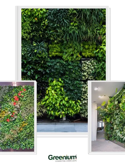 This collage presents three distinct vertical garden designs, from a colorful floral pattern to a dense, all-green look, showcasing the range of styles I can create for both commercial and residential clients.