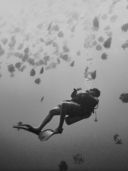 A black and white shot capturing the peaceful feeling of being suspended in the water, surrounded by a school of spadefish.