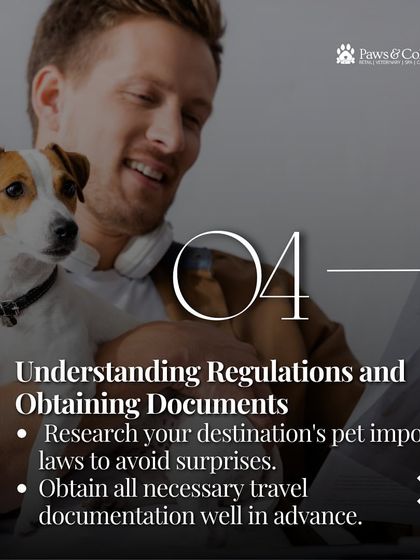 PawsnCollars - Veterinary Care Seamless Pet Relocation, Worldwide photo 25