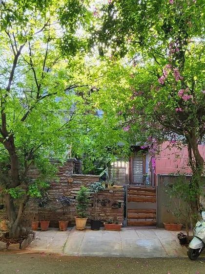 Our studio as seen from the street, nestled behind a curtain of lush green trees. We design buildings to coexist with their natural environment, creating a sense of tranquility and privacy.
