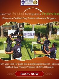 Professional Dog Trainer Certification