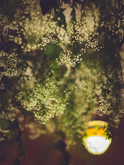 A dreamy cloud of hanging baby's breath. Ceiling installations like this are one of our favorite ways to completely transform a space and create a moment of wonder for guests as they look up.