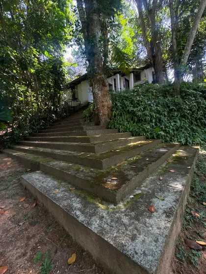 Concrete steps leading up to a house nestled in a hillside, surrounded by dense, natural foliage. This image, taken on a trip to Sri Lanka, is an inspiration for how architecture can merge seamlessly with the landscape.
