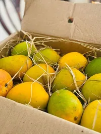 Festive & Seasonal Delicacies