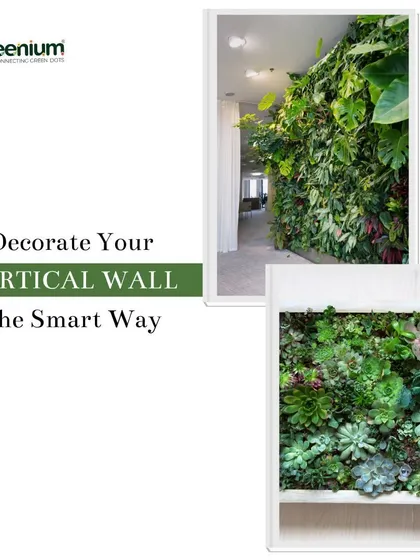 A look at two different styles of vertical gardens. One is a lush, leafy design, while the other features a variety of succulents, showing how I can decorate your vertical wall the smart way.