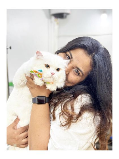 Furrybells Pet Grooming - Pet Grooming (Dogs & Cats) Cat Grooming: A Gentle Touch photo 35