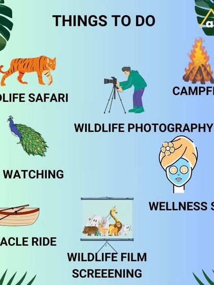 What can you do in Kabini? Besides the world-class wildlife safaris, I can arrange coracle rides, bird watching tours, village visits, and relaxing evenings with a bonfire and wildlife film screening.