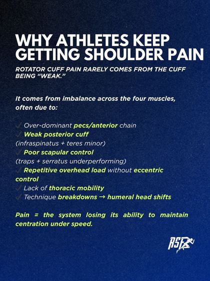 Shoulder Health & Rotator Cuff Function photo 12