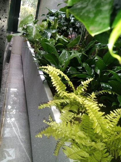 Whispering Gardens - Landscape & Garden Design Intimate Spaces: Balcony & Courtyard Havens photo 28