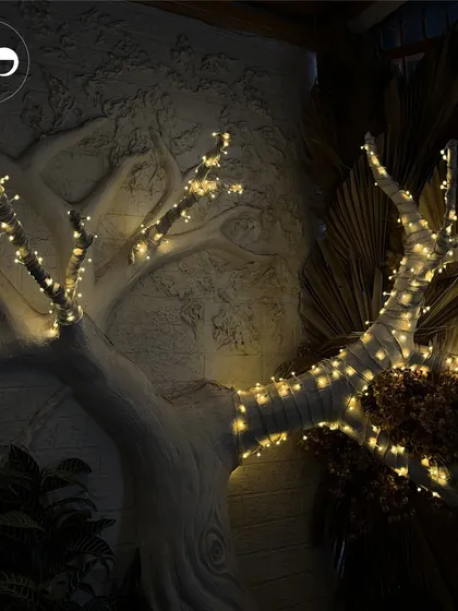 Fairy lights wrapped around tree branches bring a touch of sparkle and magic to the venue's existing decor, showing how I can enhance a space for a special occasion.