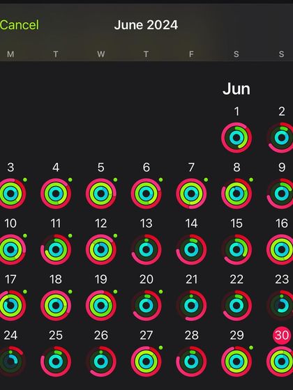 My activity rings for the month. Each closed ring is a small win, a vote for the healthier person I am becoming. Embrace the journey, not just the destination.