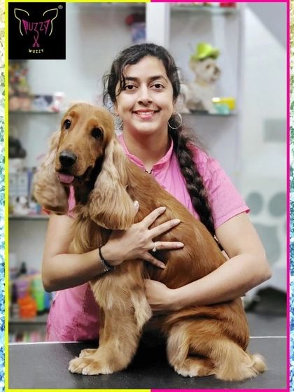 Fuzzy Wuzzy - Pet Grooming & Spa Spaniels, Retrievers & Large Breed Grooming photo 33