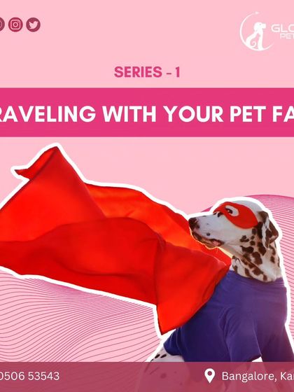 Global Pet Cab - Domestic Pet Relocation Your Pet Travel Questions, Answered photo 21