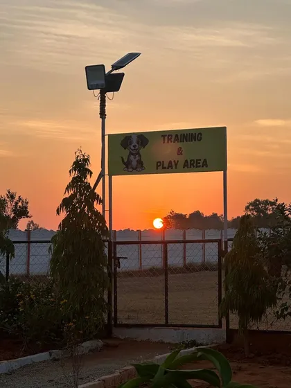 This is the view that greets us every morning at my pet resort near Nandi Hills. A calm, beautiful, and secure space is essential for effective training and a happy dog. This is more than a training area, it's a retreat.