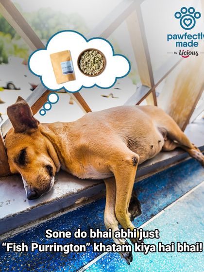 "Sone do bhai, abhi just Fish Purrington khatam kiya hai." That satisfying food coma after a delicious and filling meal.