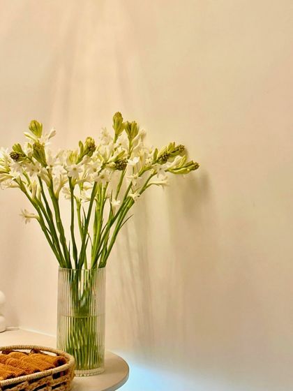 The Slay Studio Vibe photo 15