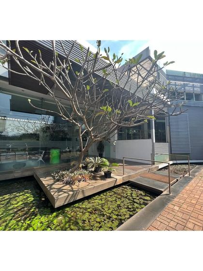 A central water body with a temple tree (plumeria) acts as the focal point of the office campus courtyard, bringing a natural and contemplative element to the workspace.