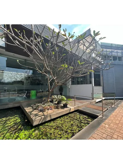 A central water body with a temple tree (plumeria) acts as the focal point of the office campus courtyard, bringing a natural and contemplative element to the workspace.