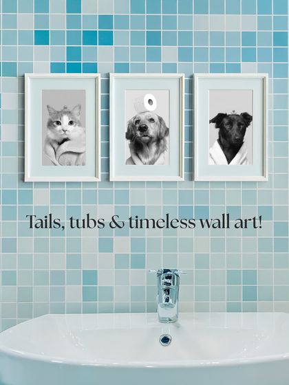 Priyanka - Themed & Special Occasion Pet Photography Imaginative Studio Sets photo 15