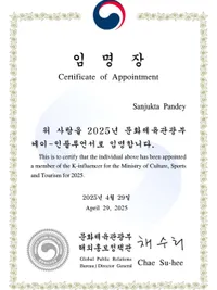 Hallyu & K-Culture Influencer Marketing
