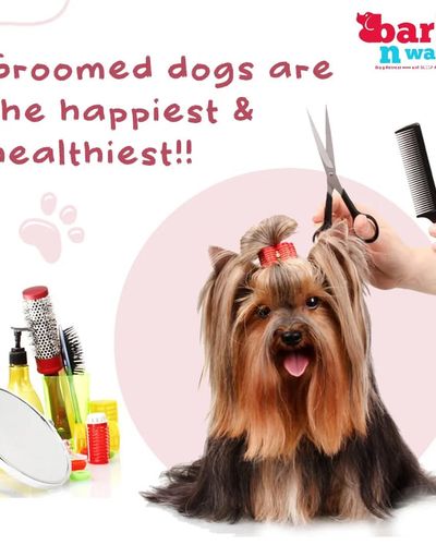 Dog Grooming