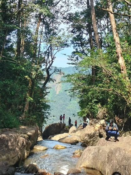 A view of a stream and a distant viewpoint, showing the varied terrain of the Agumbe rainforest.