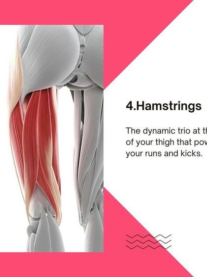 The hamstrings are critical for explosive movements. We teach you how to train them for strength and flexibility.