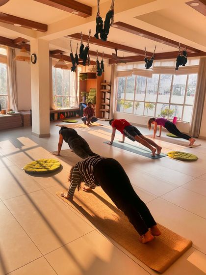Students in plank pose, demonstrating the strength and discipline cultivated in our classes.