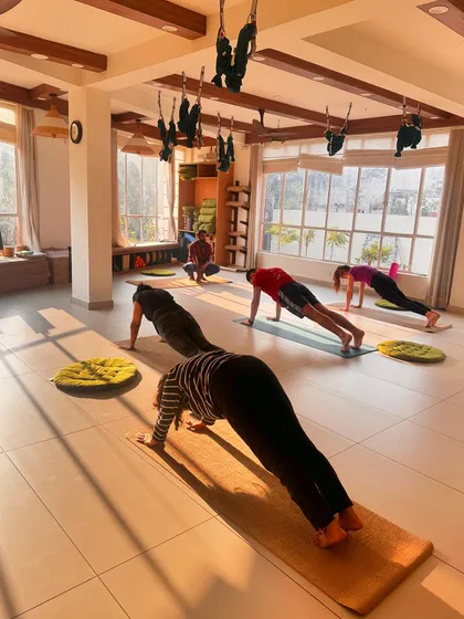 Students in plank pose, demonstrating the strength and discipline cultivated in our classes.