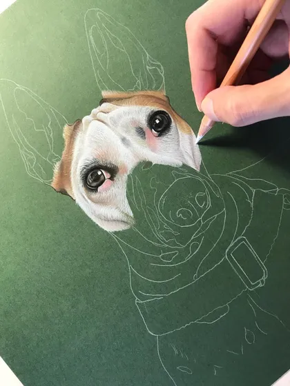This is an early stage of a color pencil portrait. I begin with a light outline sketch and then start rendering the most detailed part, the eyes, to ensure I capture the soul of the pet right from the start.