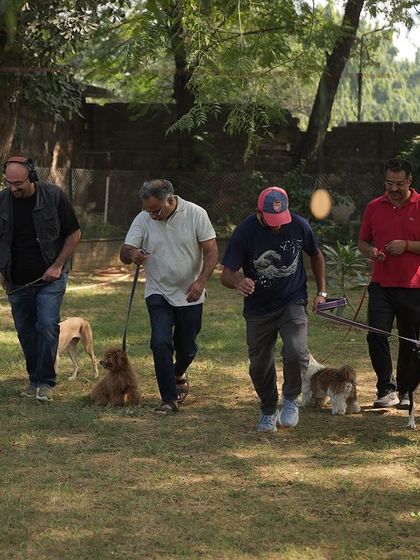 More fun from our dog party. We create events where the whole family, furry members included, can come together and have a great time.