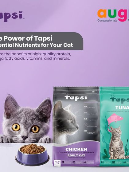 Augie Pets - Pet Supplies For Our Feline Friends: Premium Cat Nutrition photo 33