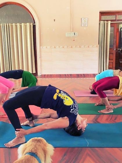 A colorful group class working on bridge pose and its variations. Even our furry friends sometimes join the practice.