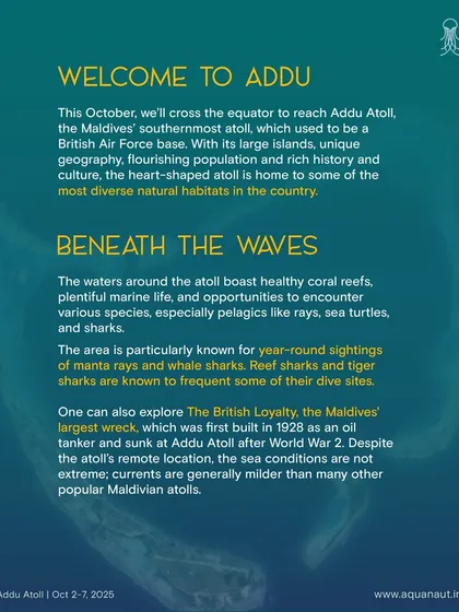 Welcome to Addu Atoll. This poster details what you can expect to see beneath the waves, from healthy corals to the Maldives' largest wreck.