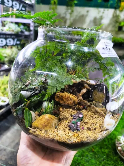 Step into a miniature world with our handcrafted terrariums. This glass bowl terrarium features lush ferns and charming figurines, creating a tiny, self-sustaining garden that's perfect for any desk or tabletop.