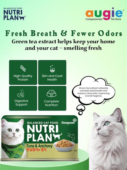 Augie Pets - Pet Supplies For Our Feline Friends: Premium Cat Nutrition photo 11