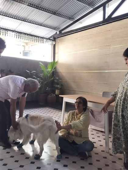 Deepthi - Dog Training & Behavior Modification Community & Group Activities photo 14