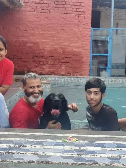 The whole family enjoying a refreshing dip. Our pool has steps and shallow areas, making it safe for everyone to join in.