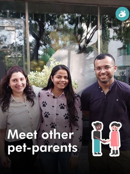 The Pack - Pet-Friendly Adventures & Meetups City Meetups & Doggie Picnics photo 35