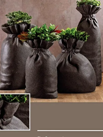 These sack-shaped planters are full of character. Their soft, organic form provides a playful contrast to the structured leaves of the plants they hold.