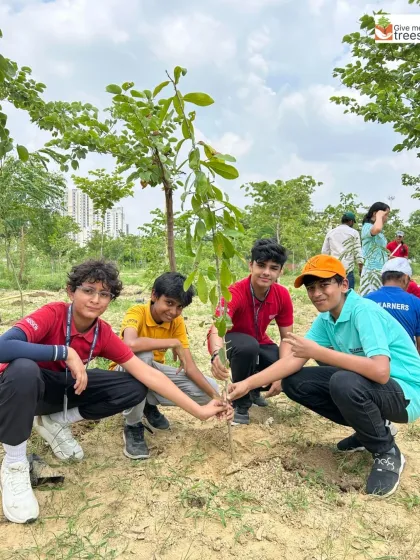 A group of young boys proudly pose with a newly planted sapling. This sense of ownership is what turns a one-day activity into a lifelong commitment.