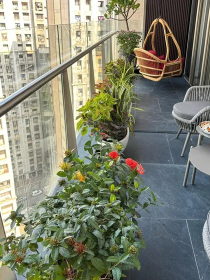 This modern balcony features a mix of flowering plants like Ixora and lush foliage plants. The arrangement provides a splash of color and creates a pleasant seating area with a cane swing chair.