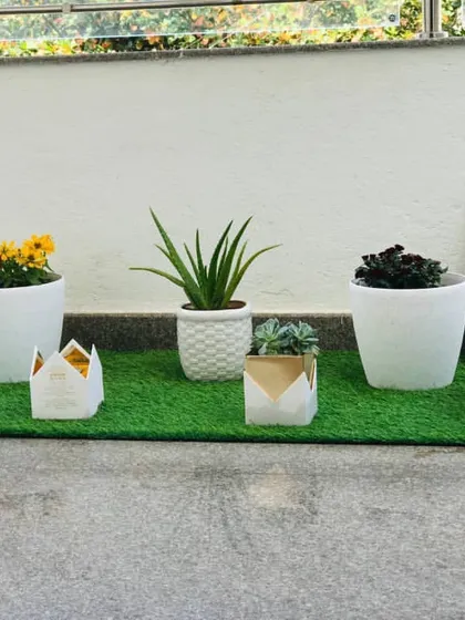 Here you can see the variety of small and medium-sized pots used in the balcony makeover. Mixing different shapes and styles adds visual interest and makes the space feel more dynamic.