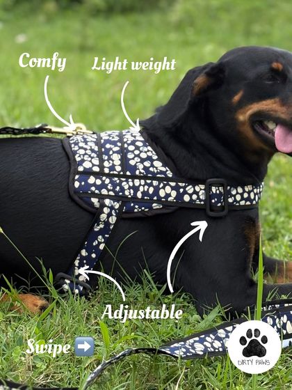 This annotated image details the comfort-focused features of my harness. It's comfy, lightweight, and fully adjustable to ensure a perfect fit for your dog.