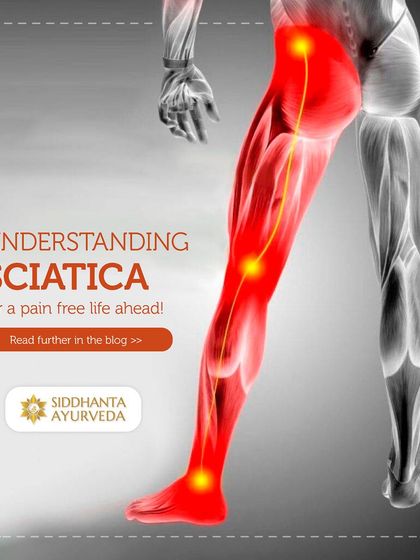 Siddhanta Ayurveda - Pain & Joint Care Understanding Joint & Spine Conditions photo 5