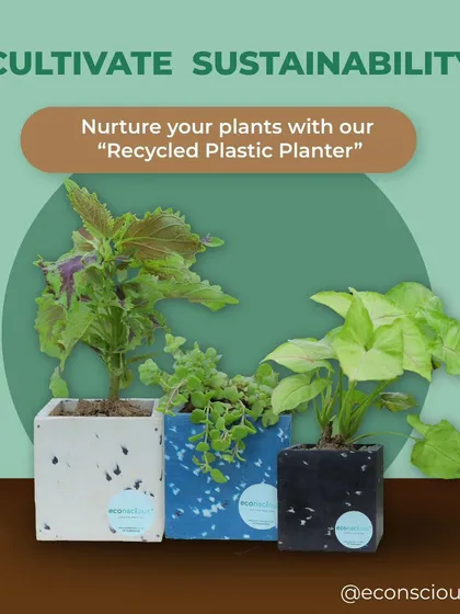 Cultivate sustainability right on your desk. Our recycled plastic planters are perfect for adding a touch of green to your workspace. Available in various colors and unique marble patterns, they make for a thoughtful and eco-friendly corporate gift.