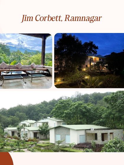 The stunning and serene environment of our Jim Corbett retreat location. We choose places where you can truly disconnect from the world and connect with nature.