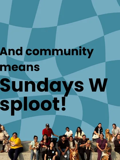 Community means 'Sundays with Sploot'. It's our favorite day of the week, where we all come together.