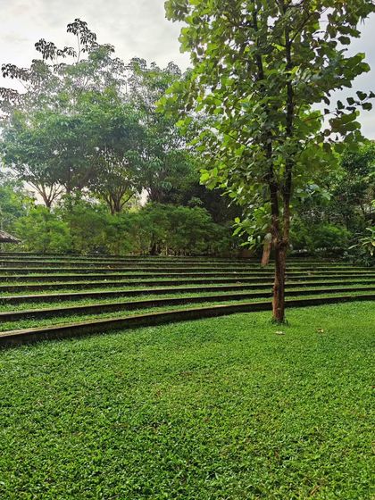 Large-Scale & Community Projects photo 6