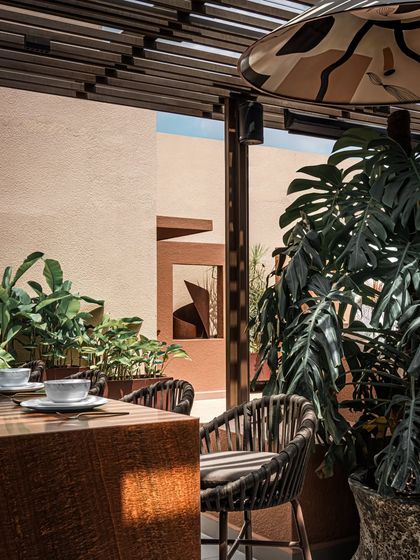 A view from the bar looking out, with lush plants framing the scene. This composition highlights how we use greenery to create natural partitions and add life to every corner of the space.